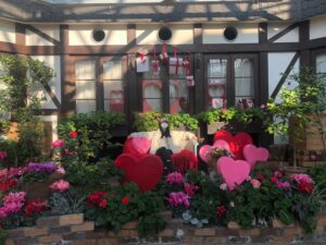 (伊藤)2/14をバレンタインデーだと思っているな？