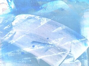 （伊藤）何を大事にしているのか