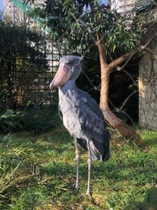 【豊岡演劇祭ツアーレポート】豊岡演劇祭2022、旅の記録(前編)