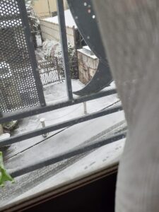 (伊藤)雪、疑似きょうだい、結ぶ頂点