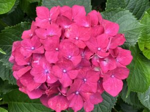 (伊藤)演劇に助けられるとき